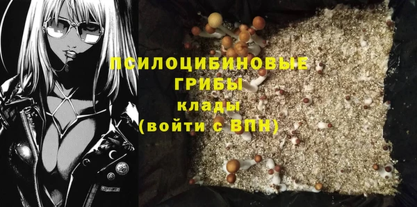 дживик Белокуриха