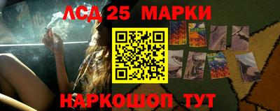 apvp Новодвинск