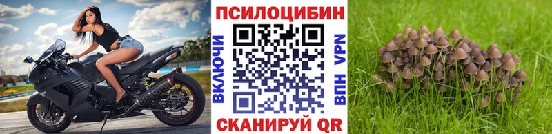 Галлюциногенные грибы мухоморы  Верхний Уфалей 