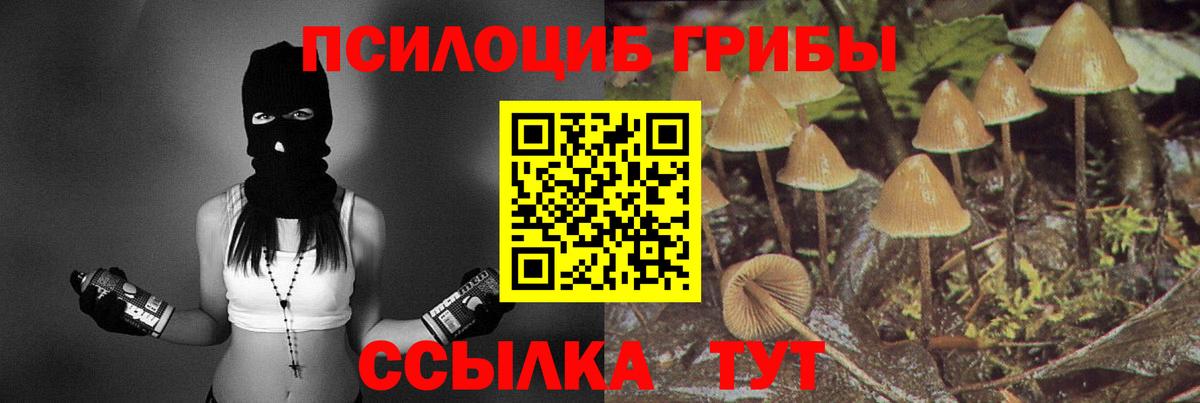 Галлюциногенные грибы GOLDEN TEACHER  Вход с VPN  Псилоцибиновые грибы мицелий  как найти закладки  Верхний Уфалей 